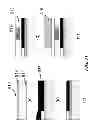 Fig. 28 - APPARATUS FOR DETECTING TUMOR CELLS