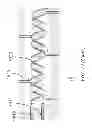 Fig. 45 - APPARATUS FOR DETECTING TUMOR CELLS