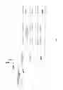 Fig. 48 - APPARATUS FOR DETECTING TUMOR CELLS