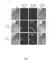 Fig. 07 - Multi-channel medical imaging system