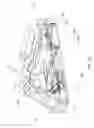 Fig. 100 - Pumping fluid delivery systems and methods using force application assembly
