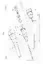 Fig. 02 - Catheter assembly