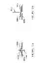 Fig. 24 - SHARPS PROTECTOR DEVICE FOR PROTECTING A USER FROM A SHARP TIP OF A MEDICAL NEEDLE