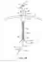 Fig. 04 - Apparatus, systems and methods for the treatment of neurological conditions