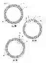 Fig. 03 - Intravaginal devices for controlled delivery of lubricants