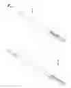 Fig. 06 - Straight intramedullary fracture fixation devices and methods