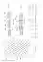 Fig. 66 - Straight intramedullary fracture fixation devices and methods