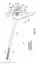 Fig. 20 - Method and apparatus for performing arthroscopic microfracture surgery
