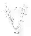 Fig. 05 - Flexible tissue removal devices and methods