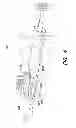 Fig. 06 - Intraocular lens injector assembly including a shuttle and method of using same