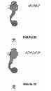 Fig. 08 - Apparatus and method for forming incisions in ocular tissue