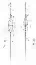 Fig. 08 - METHOD AND APPARATUS FOR CAPTURING OBJECTS BEYOND AN OPERATIVE SITE IN MEDICAL PROCEDURES