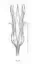 Fig. 03 - Fixation Anchor Design for an Occlusion Device