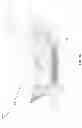 Fig. 35 - Eye aperture enhancing prosthesis and method