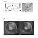 Fig. 02 - BIOCOMPATIBLE COMPOSITIONS AND METHODS OF MANUFACTURE