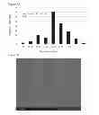 Fig. 08 - BIOCOMPATIBLE COMPOSITIONS AND METHODS OF MANUFACTURE