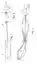 Fig. 05 - Adjustable suture-button constructs for ligament reconstruction