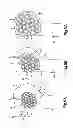 Fig. 07 - Expandable implant