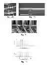 Fig. 06 - Scaffolds comprising nanoelectronic components for cells, tissues, and other applications