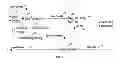 Fig. 05 - GAS SUBSTITUTION CONTROL SYSTEM AND METHOD FOR BI-FUEL ENGINE