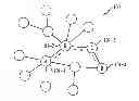 Fig. 01 - Generating and evaluating expert networks
