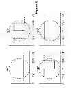 Fig. 10 - Time-domain signal generation