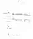 Fig. 07 - Crystal structure