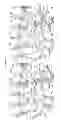 Fig. 08 - Crystal structure
