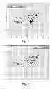 Fig. 08 - Method and system for automatically detecting morphemes in a task classification system using lattices