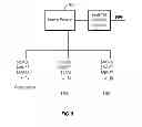 Fig. 06 - OPTIMIZING MULTI-LINE SYSTEMS WITH AUTO-BALANCING, RE-ORDERED DISTRIBUTION AND OPTIONAL RE-ENTRY