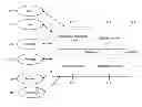 Fig. 01 - Systems and methods of conducting financial transactions