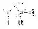Fig. 01 - BIMODAL COMPUTER-BASED SYSTEM FOR SELLING FINANCIAL PRODUCTS