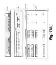 Fig. 20 - Execution allocation cost assessment for computing systems and environments including elastic computing systems and environments