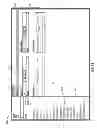 Fig. 07 - Managing feed in in-memory database system