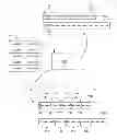 Fig. 01 - Multiplication-based method for stitching results of predicate evaluation in column stores