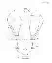 Application 20140074850, fig. 01