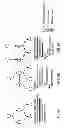 Fig. 08 - DISAMBIGUATOR