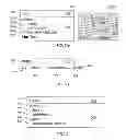 Fig. 04 - Grouped search query refinements