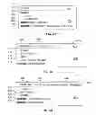 Fig. 05 - Grouped search query refinements