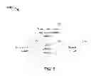 Fig. 06 - Determining word information entropies