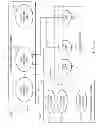 Fig. 03 - Dimensionally constrained synthetic context objects database