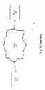 Fig. 02 - Data transmission and rendering techniques by a device via a network