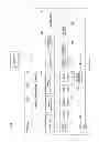 Fig. 05 - COMMUNICATION SYSTEM, INFORMATION PROCESSING DEVICE, AND TERMINAL