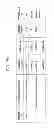 Fig. 22 - COMMUNICATION SYSTEM, INFORMATION PROCESSING DEVICE, AND TERMINAL