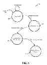 Fig. 06 - PROGRESSIVE ACCOUNT STATES FOR AGGREGATE WEBSITE VISITORS