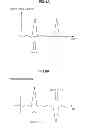 Fig. 07 - Information processing to perform authentication between a prover and a verifier