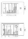 Fig. 06 - Website builder systems and methods with device detection to adapt rendering behavior based on device type