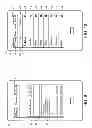 Fig. 07 - Website builder systems and methods with device detection to adapt rendering behavior based on device type
