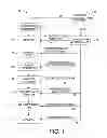 Fig. 02 - Personalized medical record