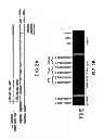 Fig. 04 - Engineering lipids in vegetative tissues of plants